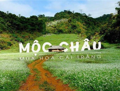 Tour Mộc Châu - Công Ty TNHH Khách Sạn Du Lịch Dạ Hương